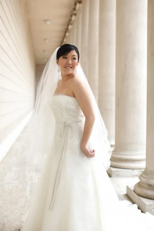 David's Bridal Organza Gown w/ Fern Embroidery, Style VW351062 Polka dot unclassified dresses